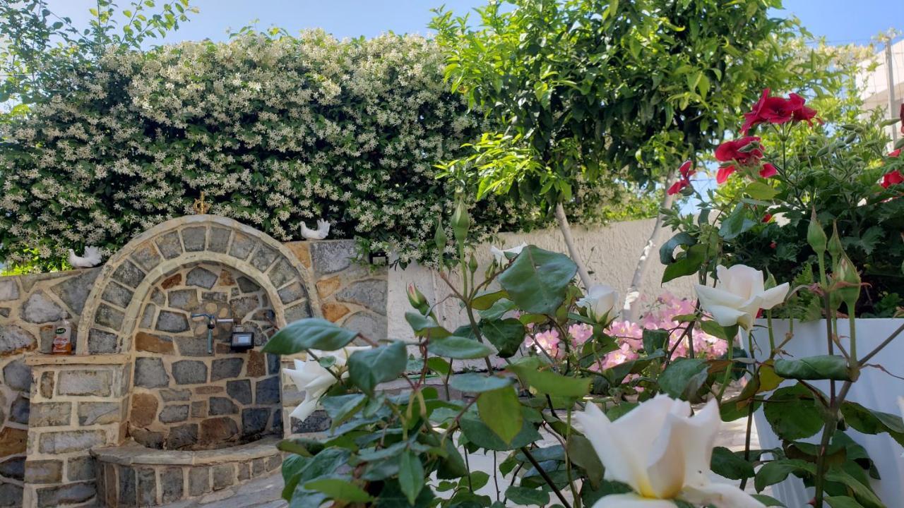 Vila Renato קסאמיל מראה חיצוני תמונה